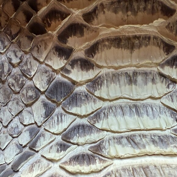 How gorgeous is this!! Amanda Wakeley python clutch, worn twice. - Picture 13 of 16